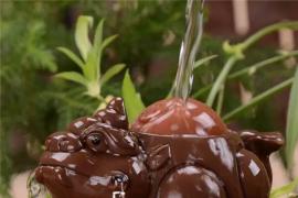 山姆大叔MVMT宝蓝色腕表“骚气”上市！