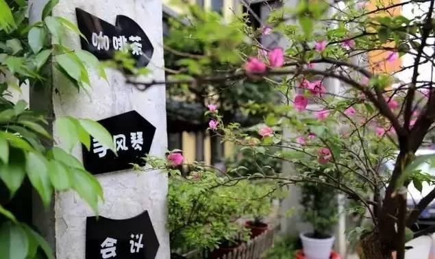 清明3天旅游攻略成都,清明成都旅游攻略学生党