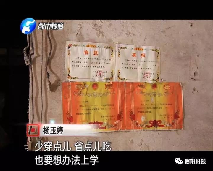 「城事」信阳小女孩无爹无娘，只是想让爷爷奶奶吃顿城里饭