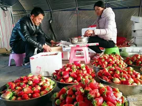 「三进三帮」卞建军：走进心里，才能帮在心坎上