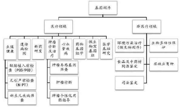 基因测序的最新消息,基因测试是真的还是假的