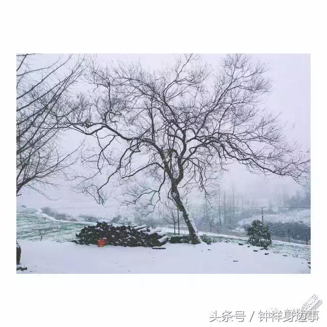 一封辞职信火遍长春,又一封辞职信刷爆朋友圈