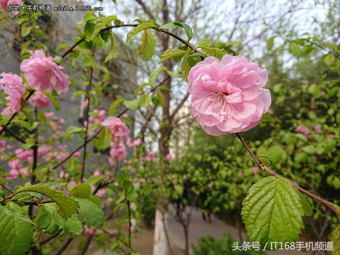 索尼手机xperia5iii测评,索尼xperiaxzs录视频