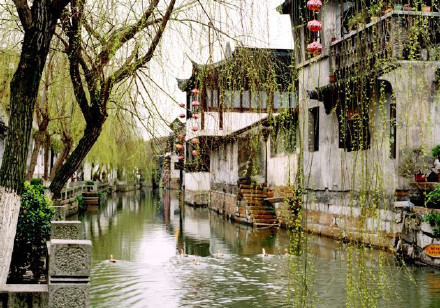 服用黄体酮后不来月经怎么回事,服用黄体酮后月经一直不走