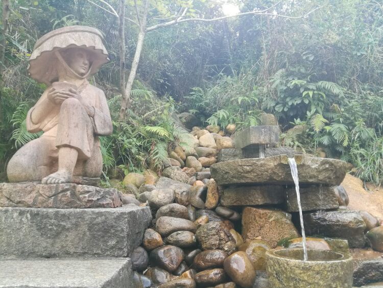 到中山的千年古刹古香林寺旧址周边山林探秘，感觉大自然太美啦