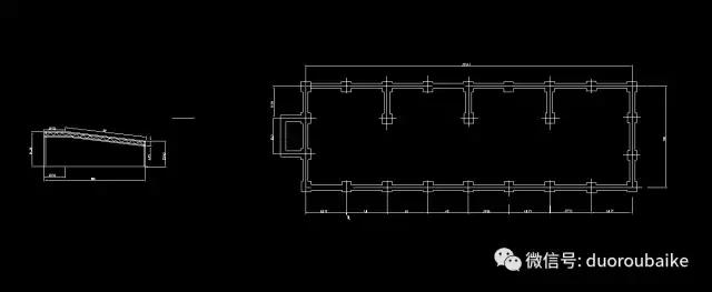 多肉为什么比较坑,多肉基础知识详解