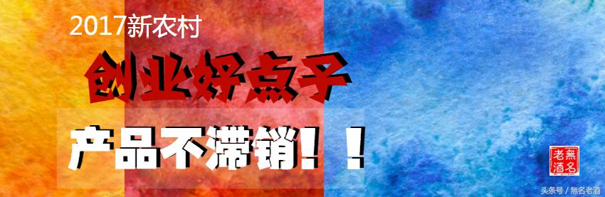 农村三农创业点子,2017推荐农村创业致富的3个金点子