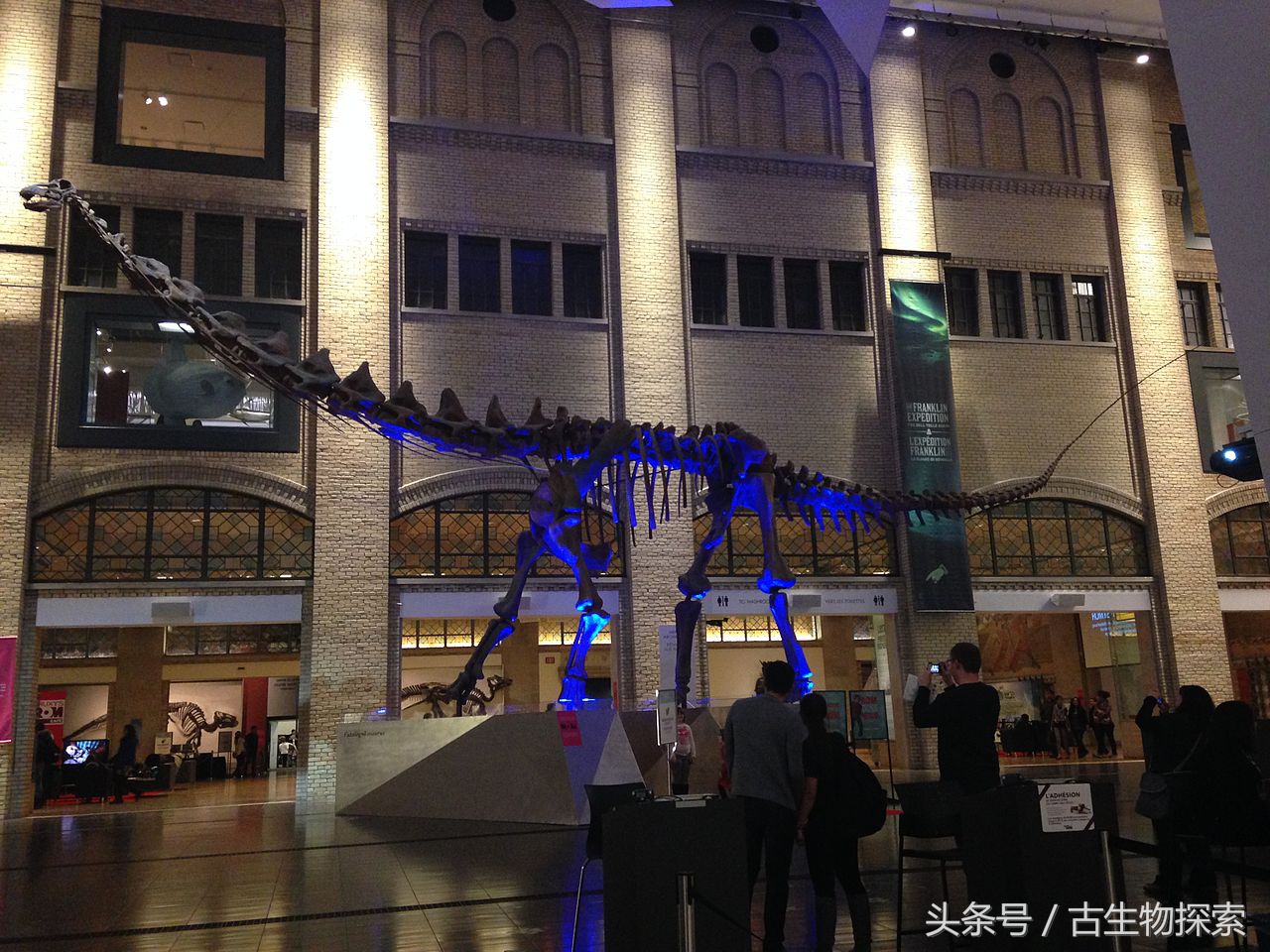 能源巨龙——富塔隆柯龙