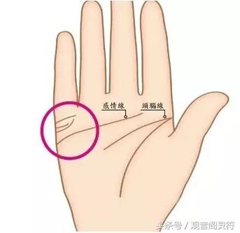 从手相看儿女个数,从手相上怎么看有几个孩子