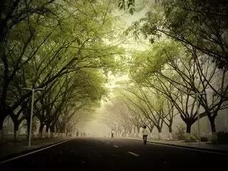 高考双培外培是什么,外培和继续教育有什么区别