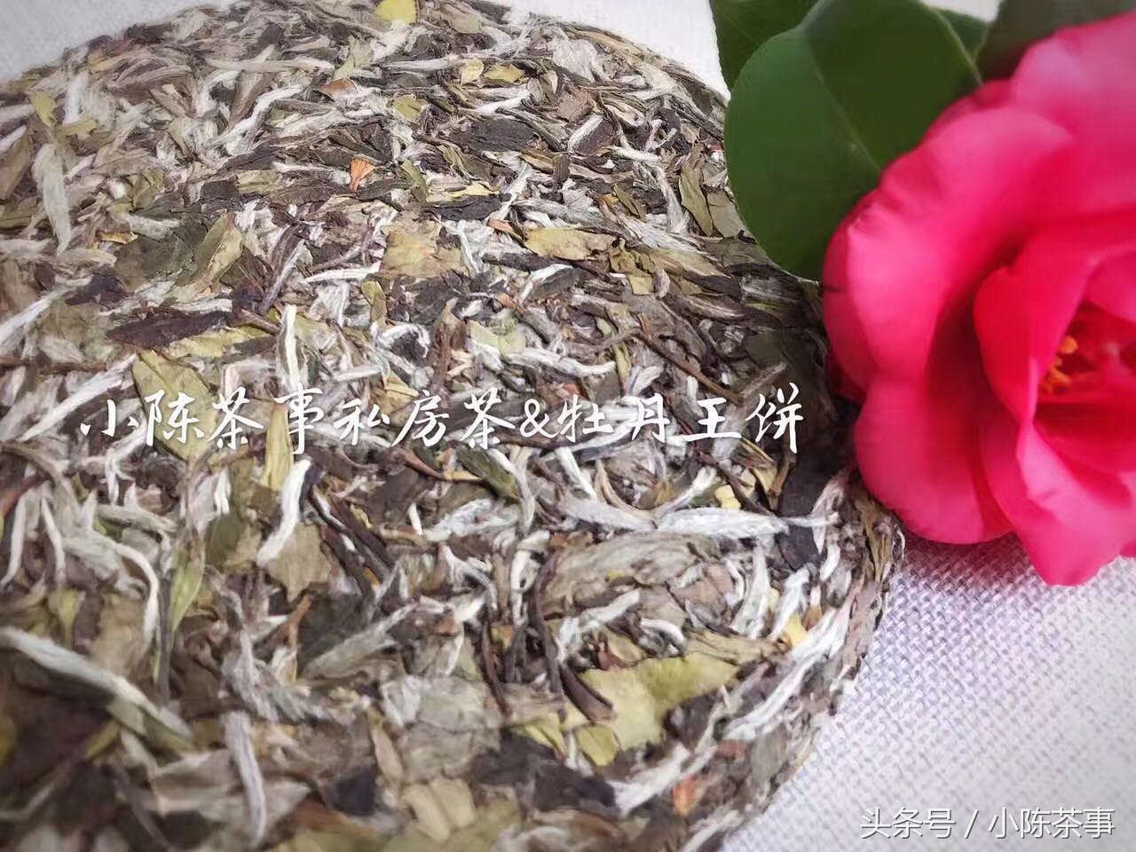 鏄ユ棩澶氬彂鐥呯棁,鏄ユ棩鐤剧梾棰勯槻