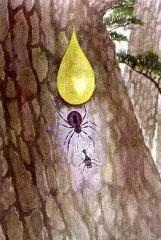 90年代小学语文课本所有插画图片,小学课本中令人印象深刻的插画