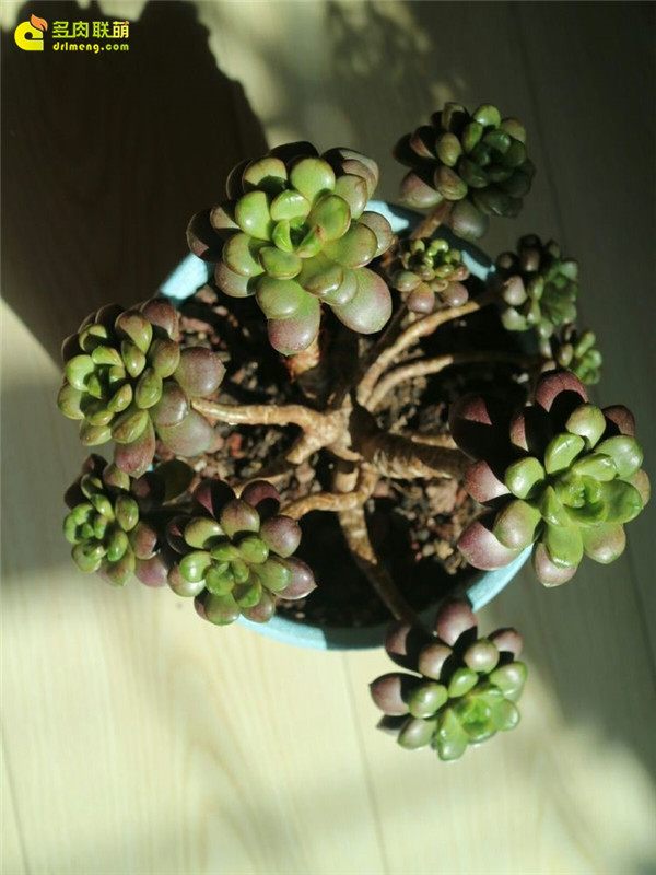 一个脚气患者的真实故事,关于癣有趣的故事