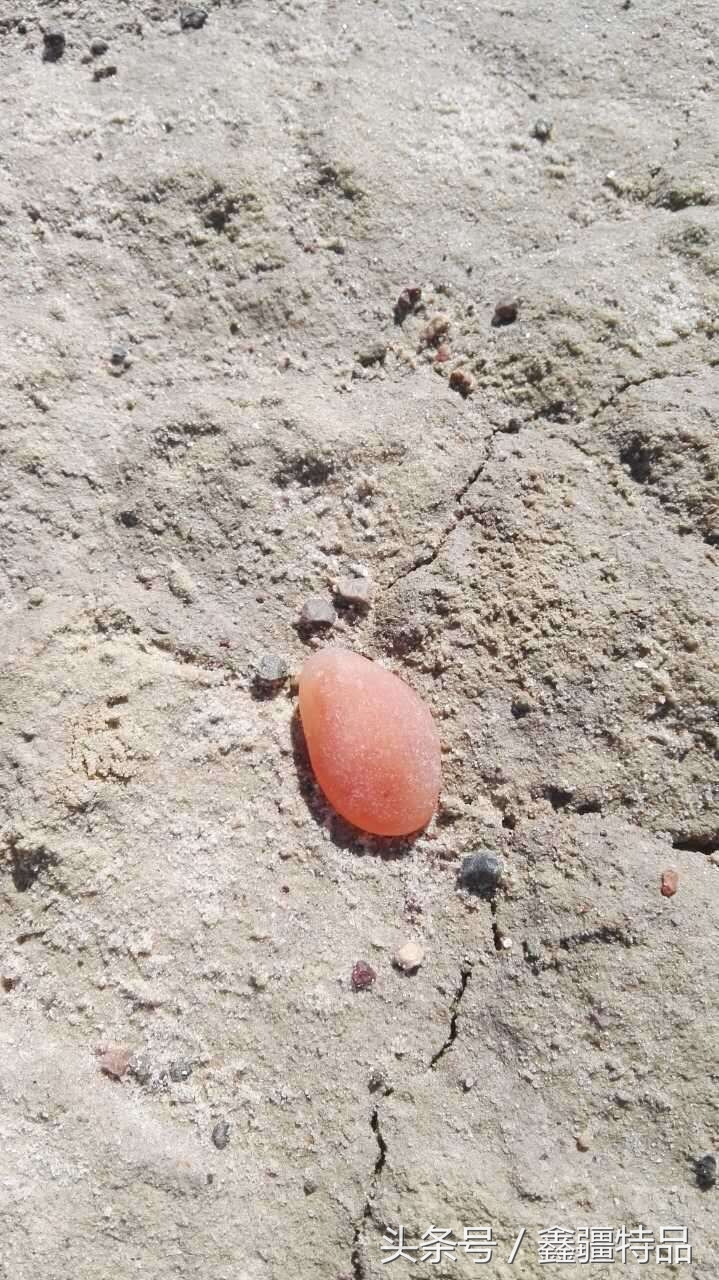 金丝玉宝石光在哪捡,捡金丝玉海蓝宝石的地方