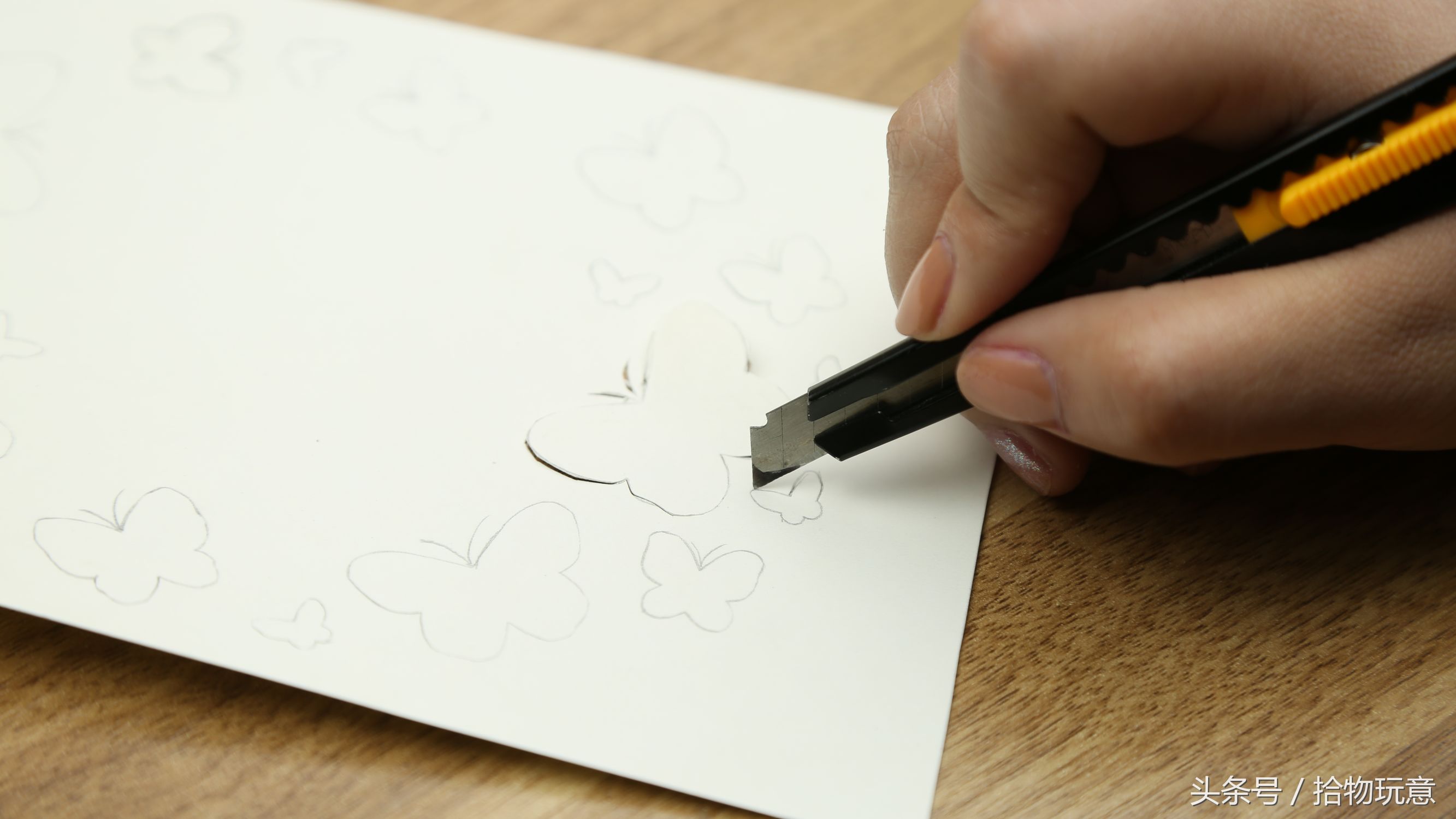 卡纸怎么做成蝴蝶,请用卡纸做出蝴蝶