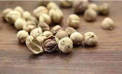 餐创大课堂教你识香料排草香,餐创教你识香料肉豆蔻