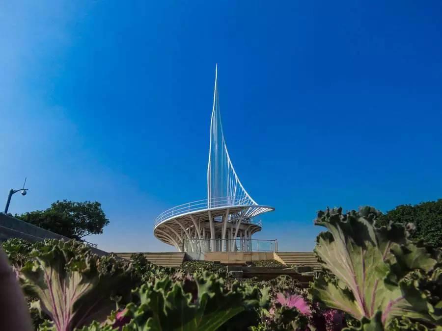 漫步上海魔都秋游的十个好去处,魔都最美的九大公园