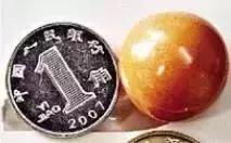 海螺吐出龙珠的视频,海螺吃出天价龙珠