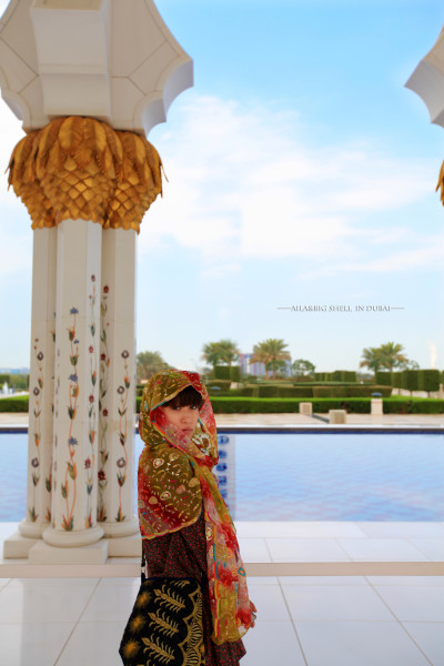 迪拜的旅行vlog,迪拜之旅vlog模板