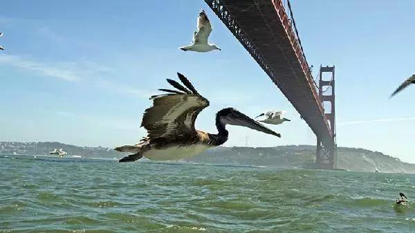 这些电影你都看过吗,这些电影你一定看过混剪