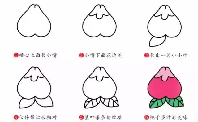 简笔画儿童3-6岁简单入门水果图解,水果和水果切面简笔画