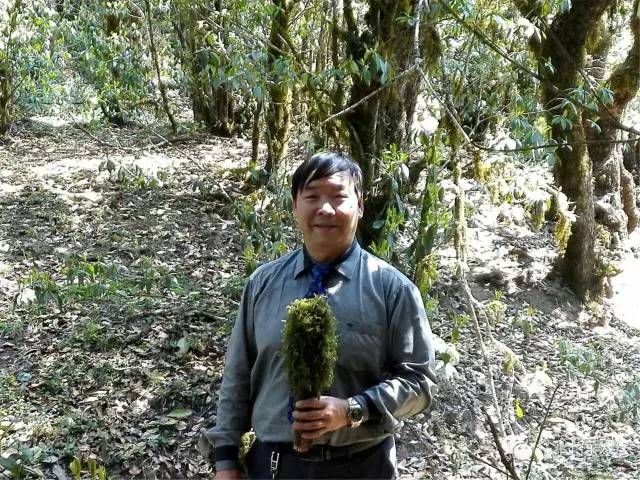 禄劝九龙石牛山原始森林,云南禄劝县团街镇卓干山原始森林