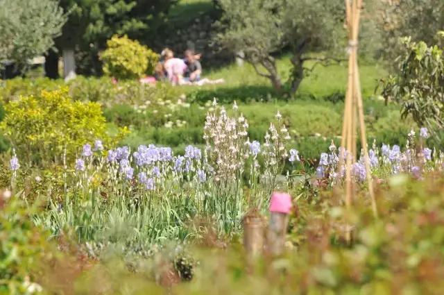 寻味格拉斯,老城下的香水之路!