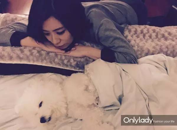 私人飞机？名牌包包？明星合影？这些宠物竟然这么大牌！