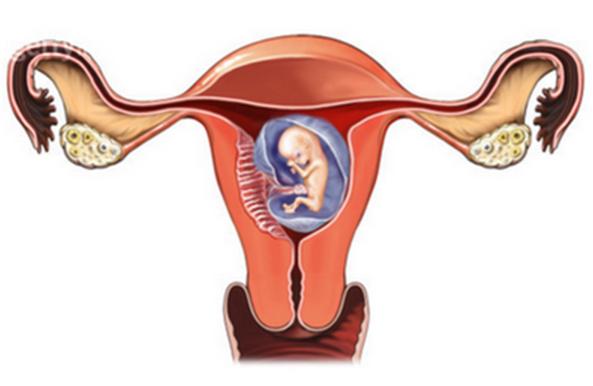 宫外孕大出血是怎么回事,宫外孕大出血前会有征兆吗