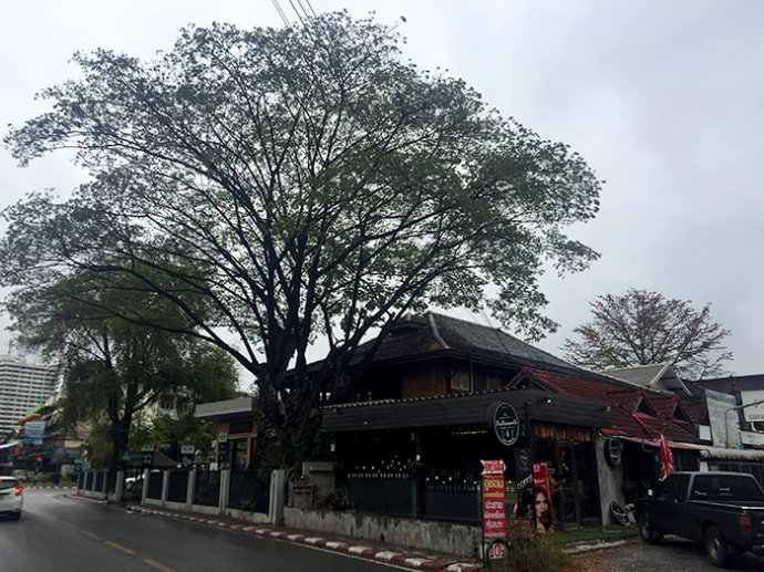 泰国清迈必买购物攻略,泰国之行