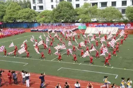 香港明星足球队最近活动,1987年香港明星足球赛