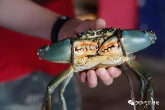 斯里兰卡旅游线路图高清,斯里兰卡自由行旅游攻略