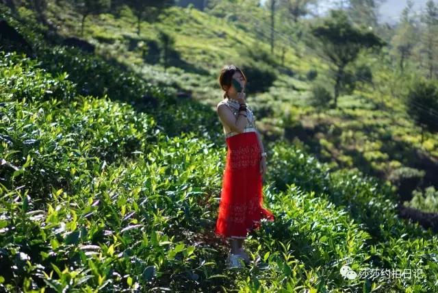 斯里兰卡旅游线路图高清,斯里兰卡自由行旅游攻略