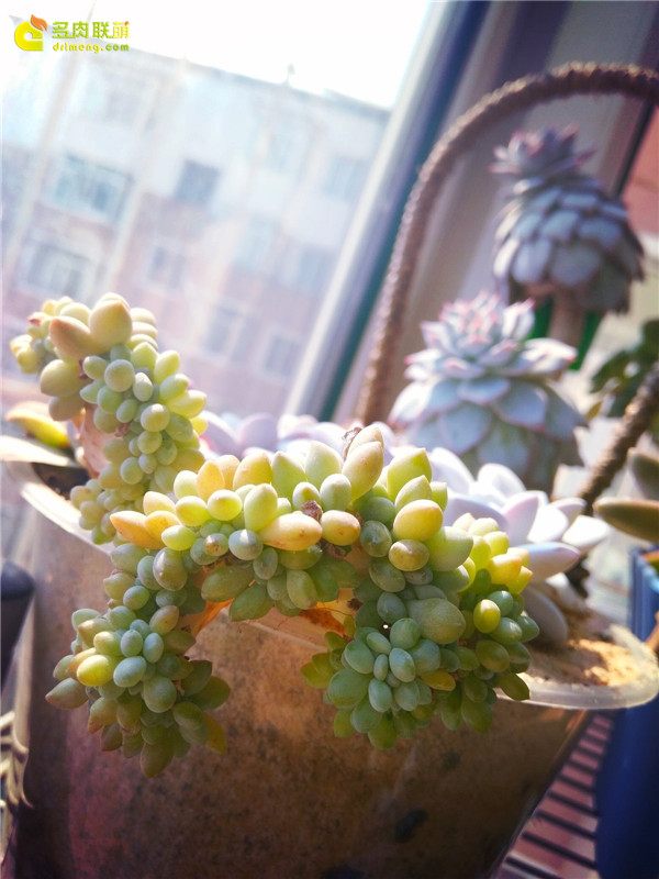 一个脚气患者的真实故事,关于癣有趣的故事