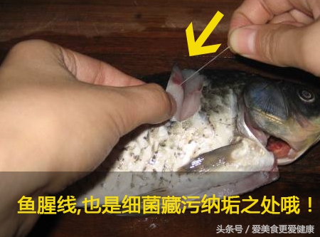 中华鲟鱼哪个部位有毒,裸斑鱼哪个部位有毒