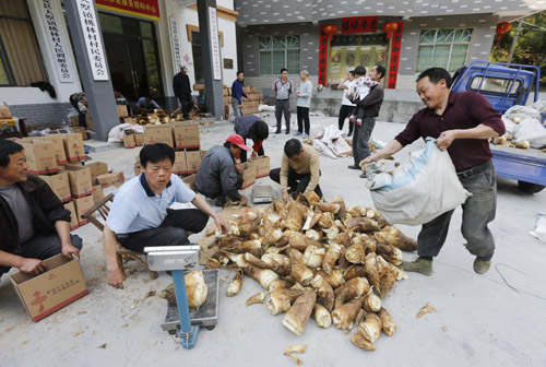 大墅镇春笋找到了吗 (大墅镇春笋新闻)