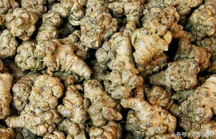 亩产500斤，每斤500元，究竟是致富项目还是种植*局骗**？