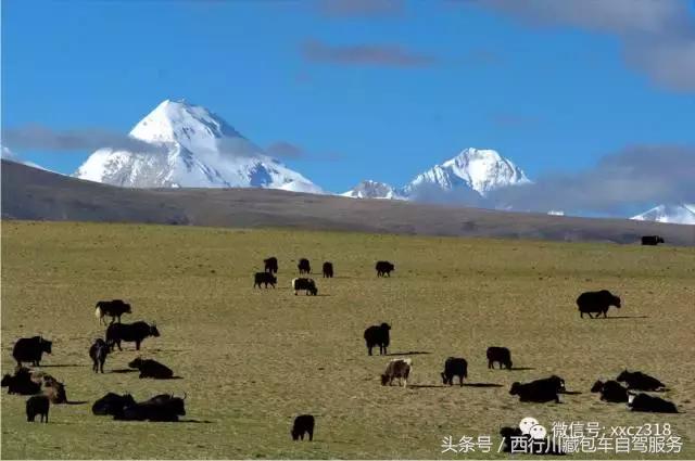 永不停歇的攀登——云上的希夏邦马