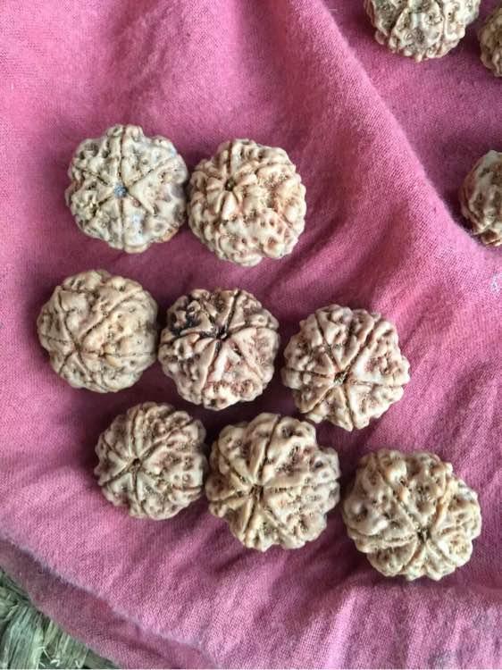 菩提金刚籽手串如何变红上色快,6瓣小金刚菩提子手串108颗