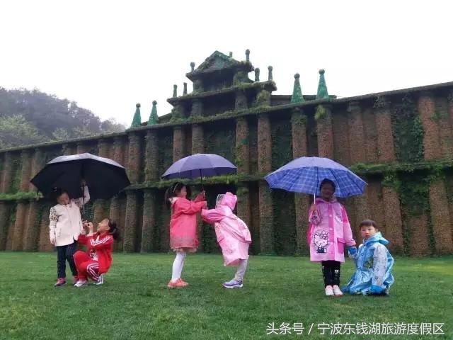 南苑花博园郁金香,除了郁金香还有什么花好看