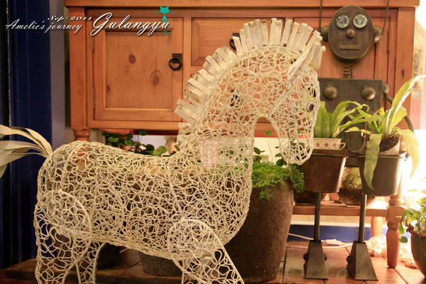 鼓浪屿完整攻略 (鼓浪屿详细攻略大全)