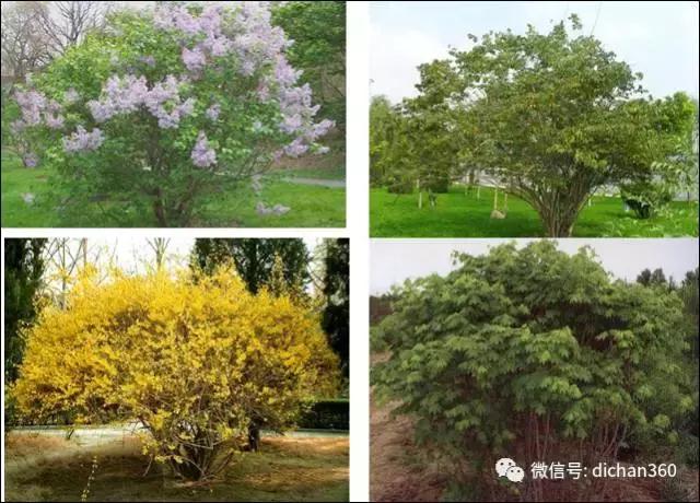 涓囩浜戠繝闅愮宸ヨ壓宸ユ硶,涓囩绮捐宸ヨ壓宸ユ硶