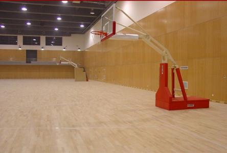 平顶山再添大型体育馆,平顶山大型场馆