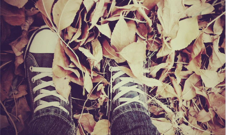 欣赏喜欢爱的区别,欣赏带有喜欢的意思吗