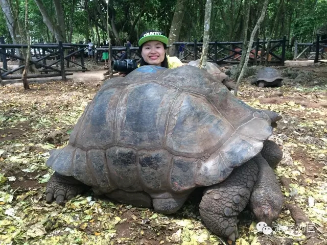 一生必去一次的非洲坦桑尼亚｜回归狂野
