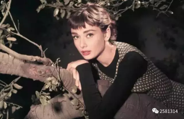 教追女孩子的技巧和方法的软件,教你如何正确追女孩子教程