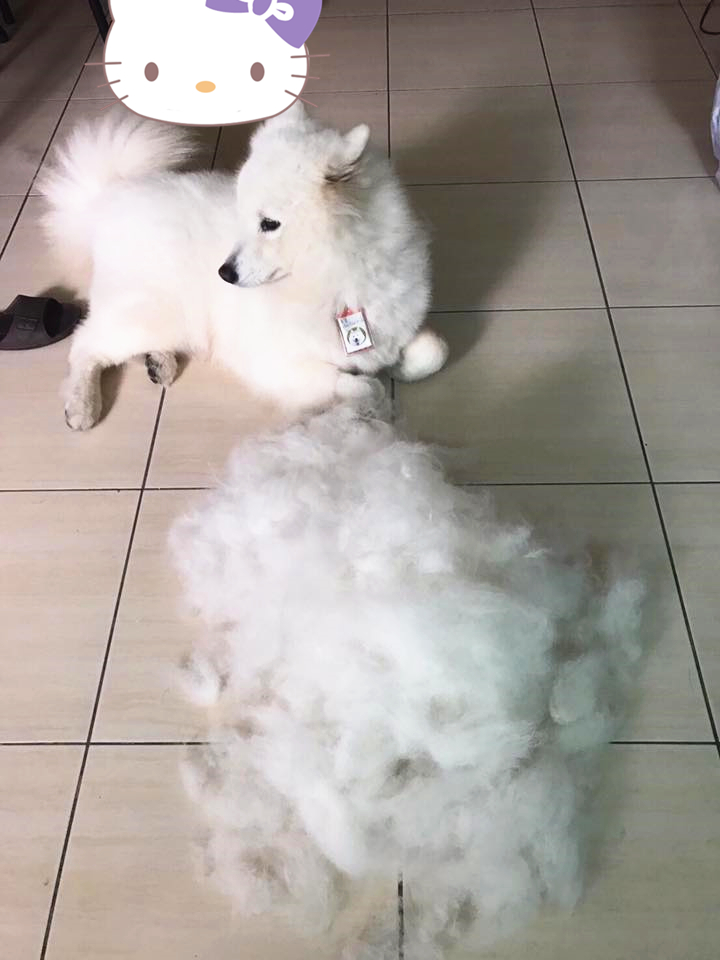 澶忓ぉ蹇埌浜嗗悧鍘熺増瑙嗛,澶忓ぉ蹇埌浜嗗ぉ姘斿張鐑簡