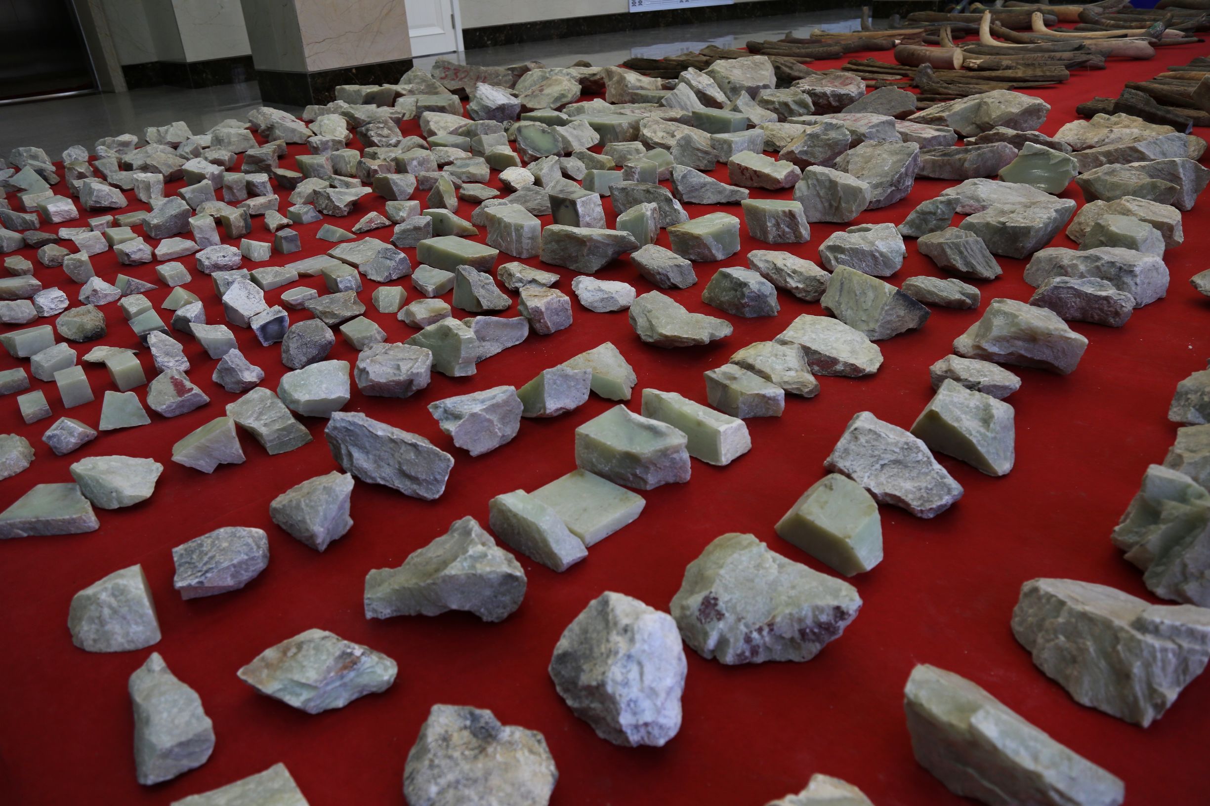 海关破获猛犸象牙,哈尔滨海关查获猛犸象牙