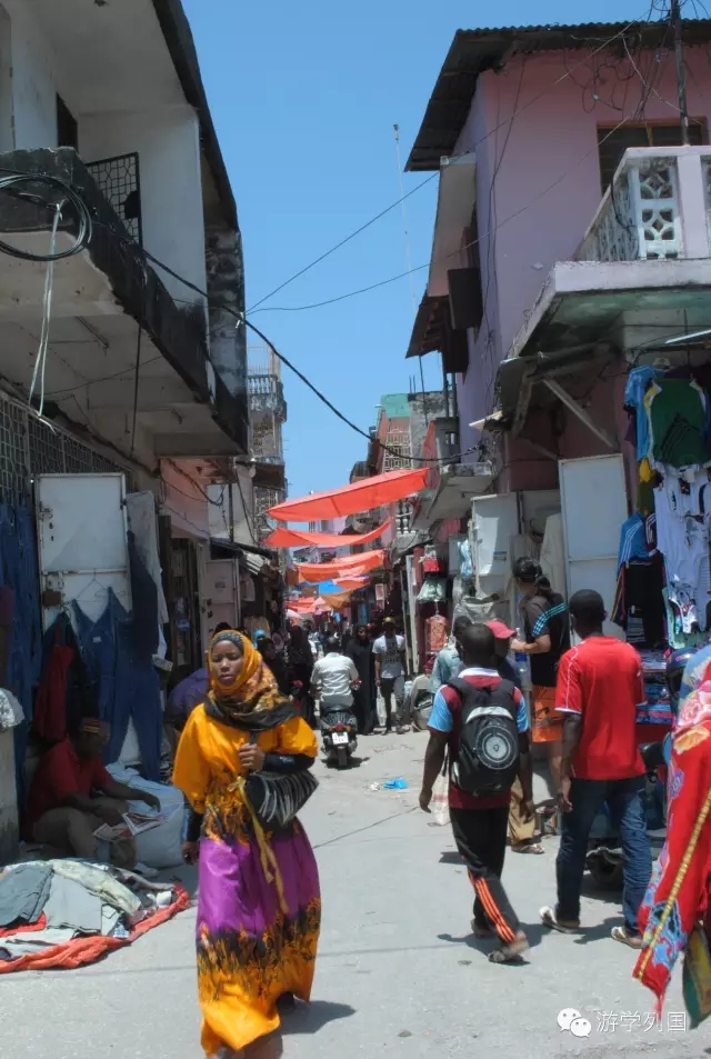 一生必去一次的非洲坦桑尼亚｜回归狂野