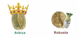 水西咖啡哪里最香 (水西咖啡)